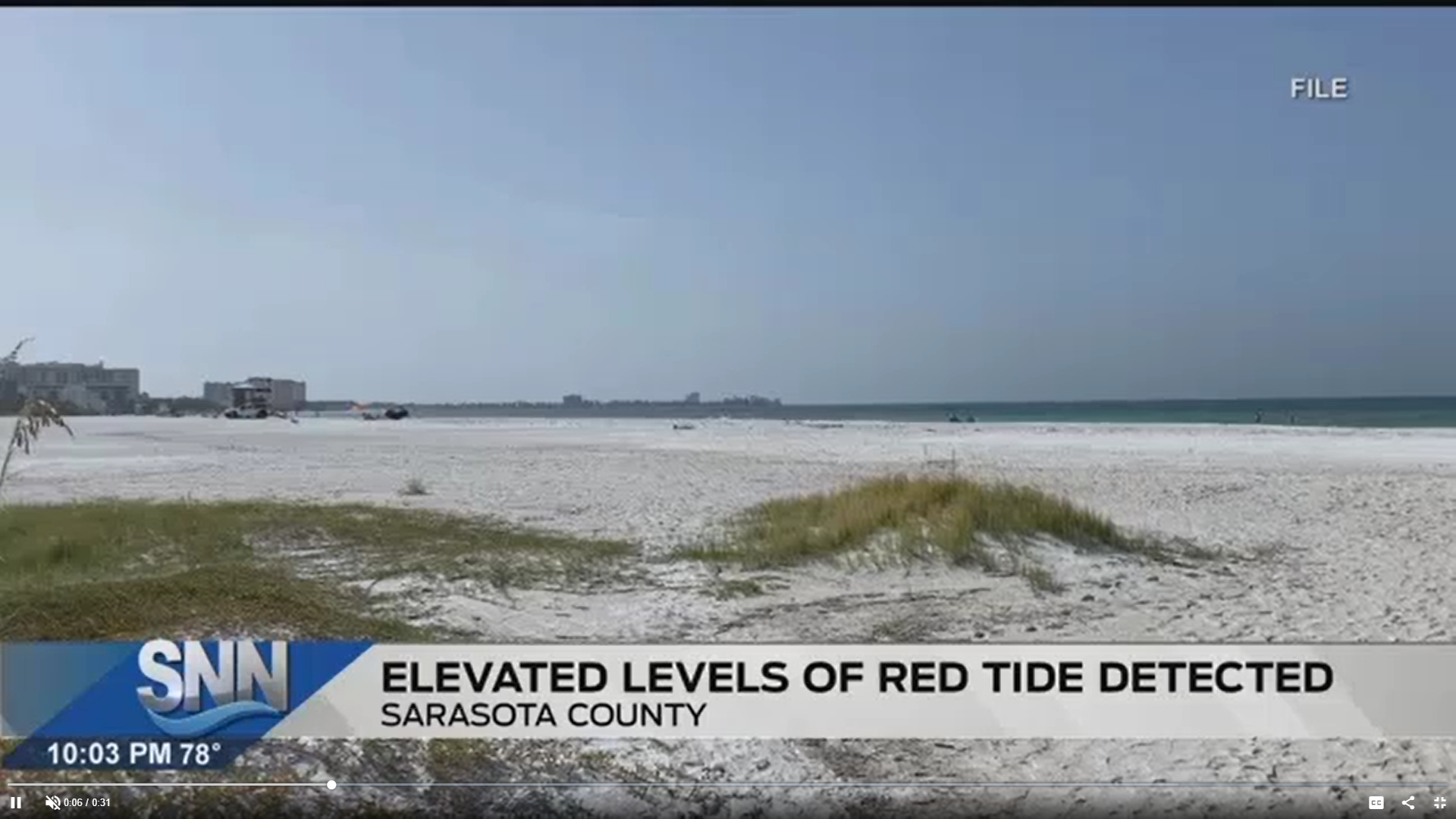 Red Tide Detected In Sarasota County Again The Suncoast News Scoop