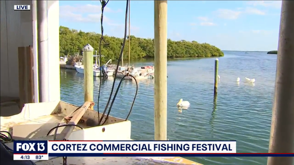 Cortez Commercial Fishing Festival returns for 41st year The Suncoast