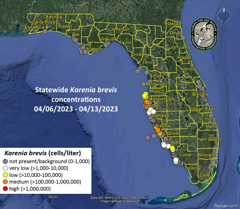 Health Officials Issue Alert For Elevated Red Tide Levels At Several Sarasota Beaches The