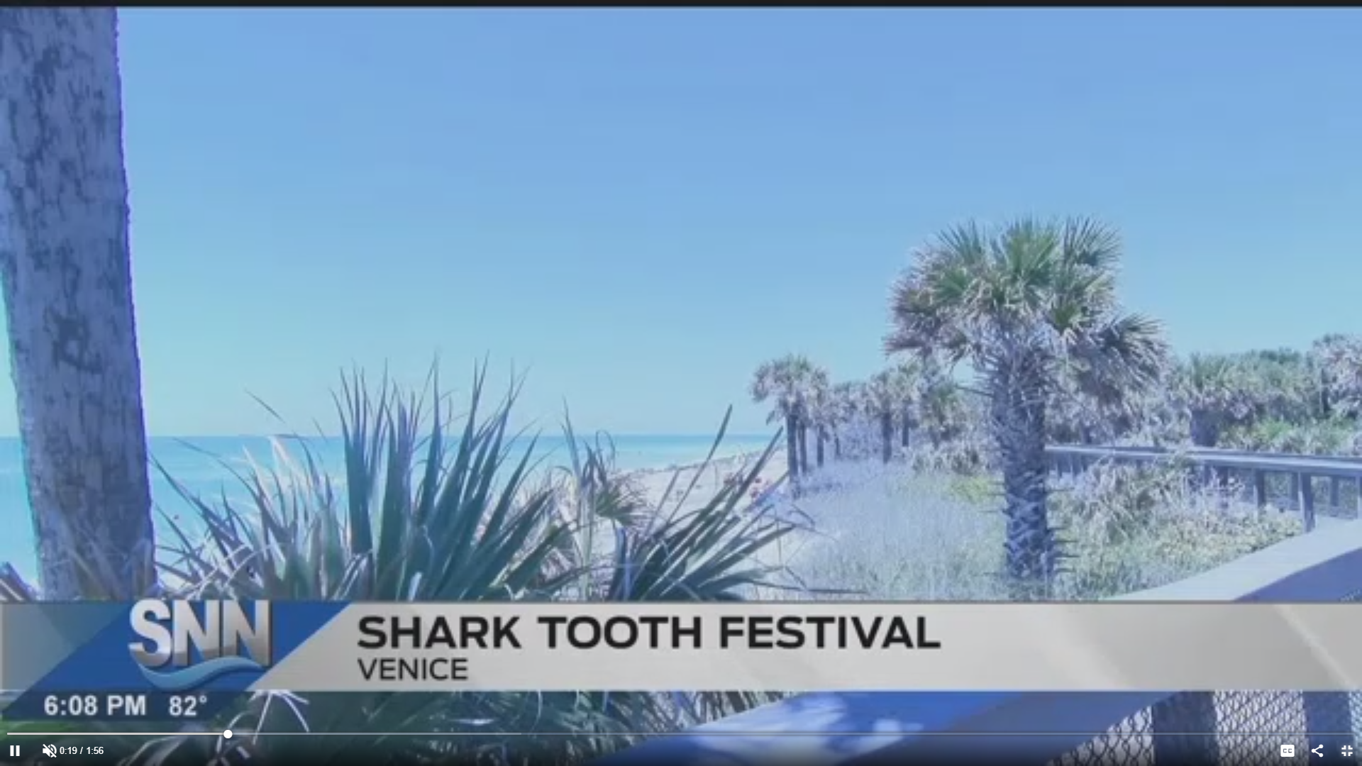 The Venice Sharks Tooth Festival is This Weekend The Suncoast News