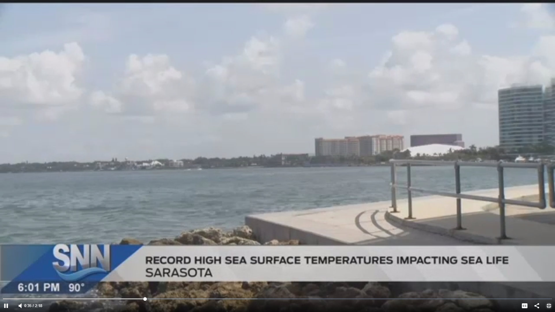 Record High Sea Surface Temperatures Impacting Sea Life - The Suncoast ...