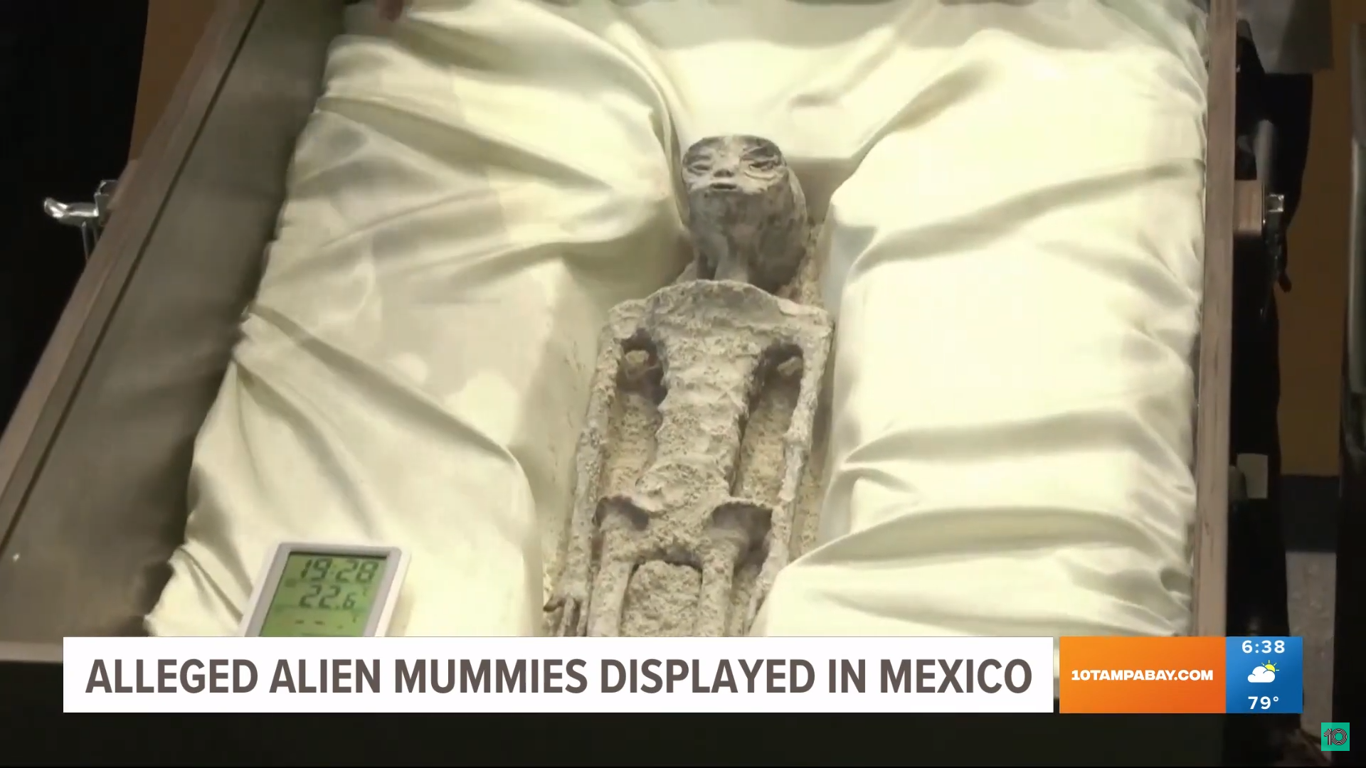 Mexico displays what it claims are alien mummies - The Suncoast News ...