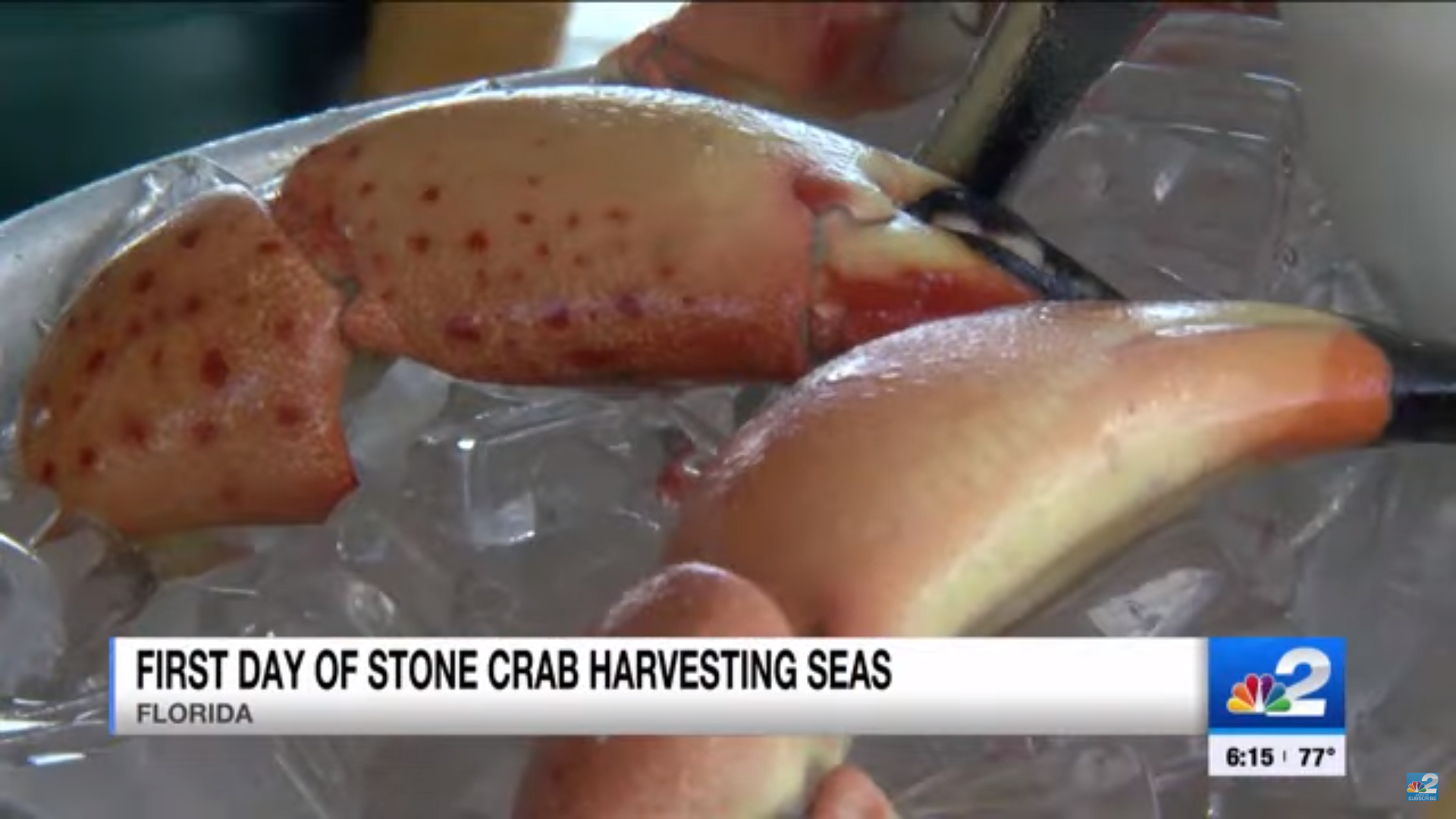 Stone Crab Season 2025