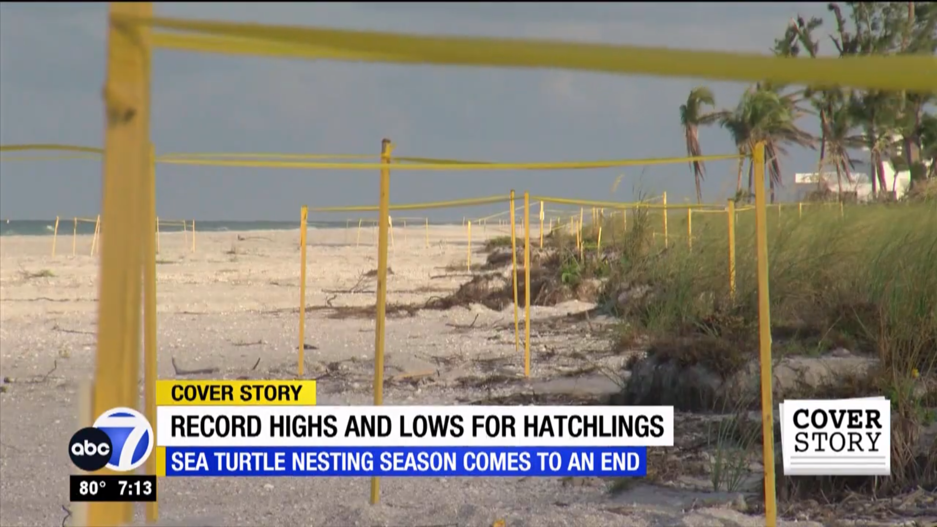 Record highs and lows for hatchlings as Sea Turtle nesting season wraps ...