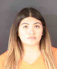 Sarasota woman charged with sexual battery of a child under 12 - The ...