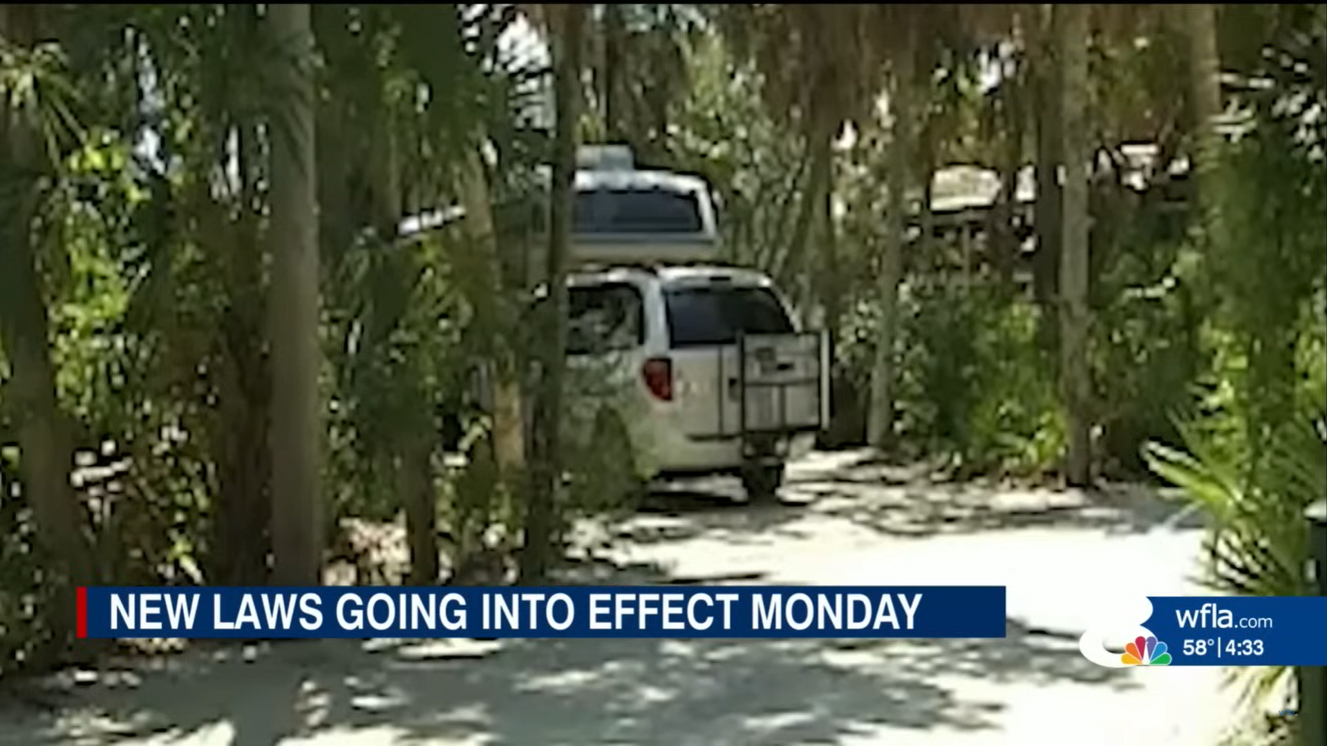 New Florida laws coming in 2024, including one that impacts all drivers ...