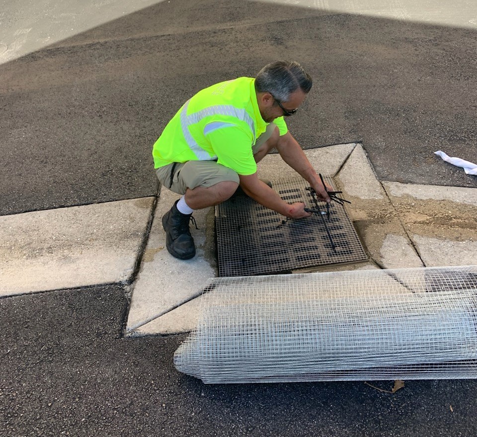 Venice installs storm drain screens to protect sea turtle hatchlings ...