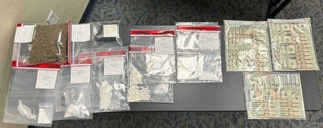 Sleeping driver call leads to a major drug bust of a Sarasota man - The ...