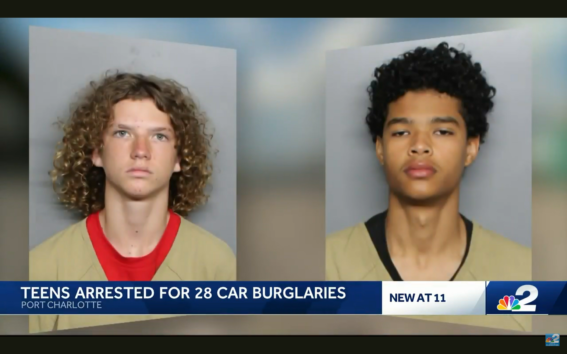 Two Port Charlotte teens accused of 28 car burglary cases, including ...