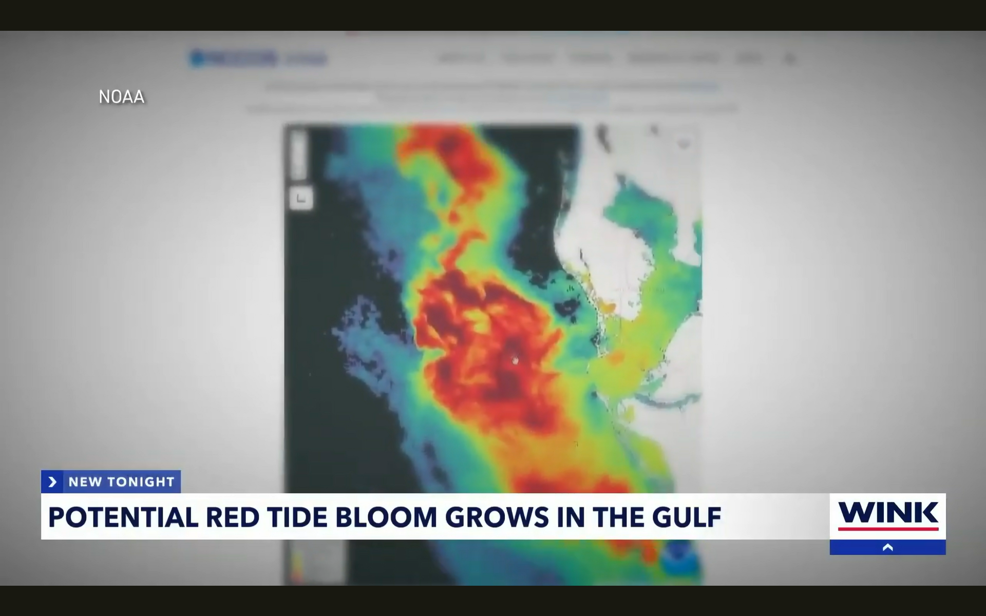 Experts warn of potential red tide heading toward Southwest Florida