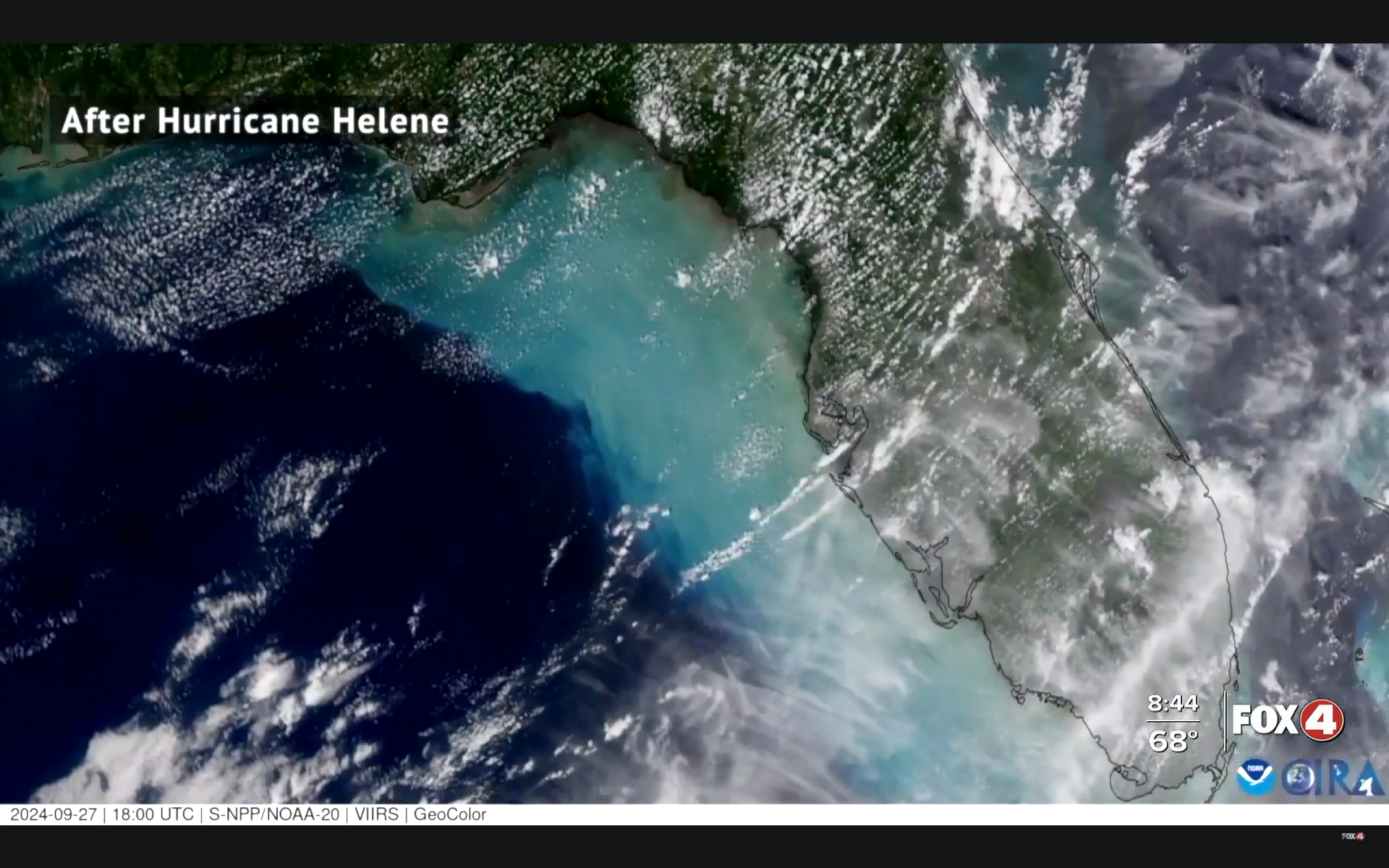Red Tide Blooms developing in the Gulf of Mexico - The Suncoast News ...